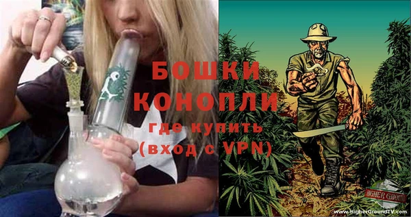 молекула духа Магас