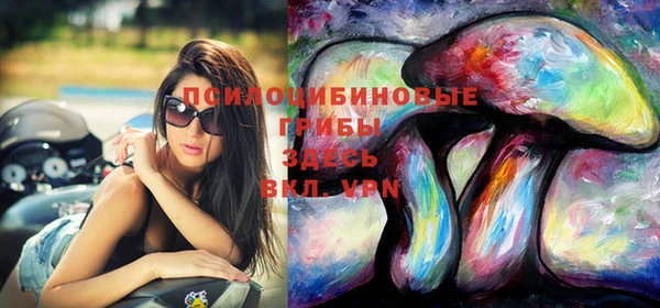 mix Мегион