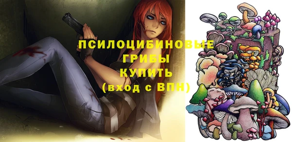 сатива Медногорск