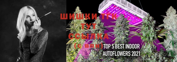 молекула духа Магас
