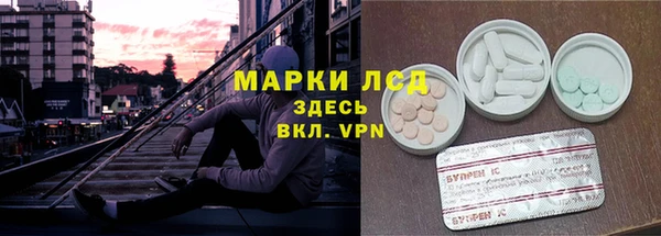 сатива Медногорск