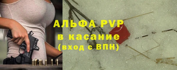 сатива Медногорск