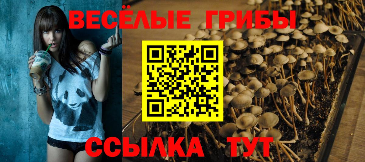 Миллерово  Псилоцибиновые грибы MAGIC MUSHROOMS  Вход с VPN  Галлюциногенные грибы GOLDEN TEACHER 